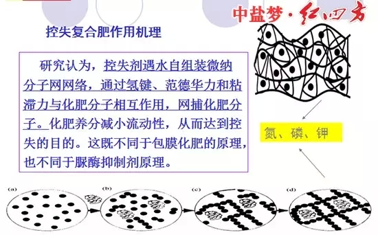 控失復(fù)合肥作用機(jī)理