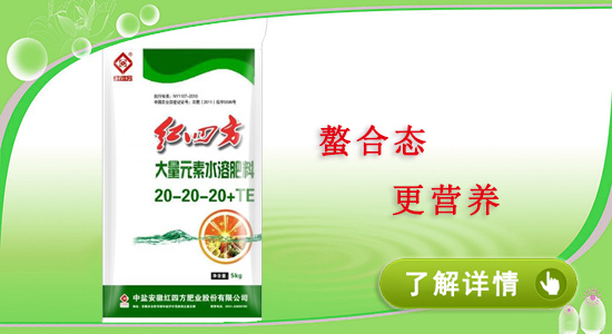 大量元素水溶肥中，98%的菜農人都會選擇這一款！
