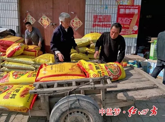 小麥肥哪家強(qiáng)，還數(shù)紅四方.
