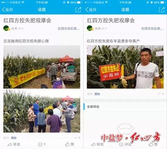 網友大木曬紅四方玉米控失肥的豐收之景 網友大木曬紅四方玉米控失肥的豐收之景