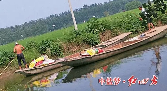 擺渡的人甩開膀子干活,將一袋袋紅四方蓮藕專用肥運往藕塘……. 擺渡的人甩開膀子干活,將一袋袋紅四方蓮藕專用肥運往藕塘…….