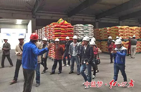 邊走邊研究，復合肥生產(chǎn)流程一目了然