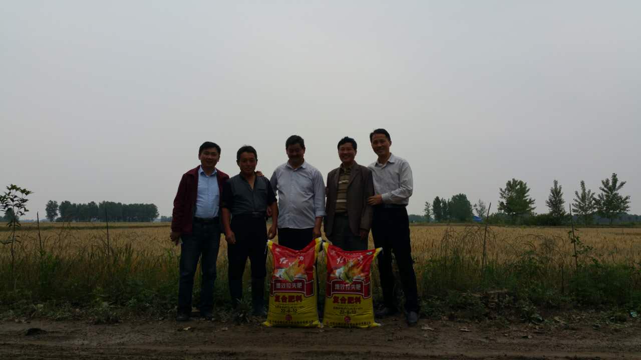 小麥專用肥好不好？看壽縣小麥肥經銷商怎么說？