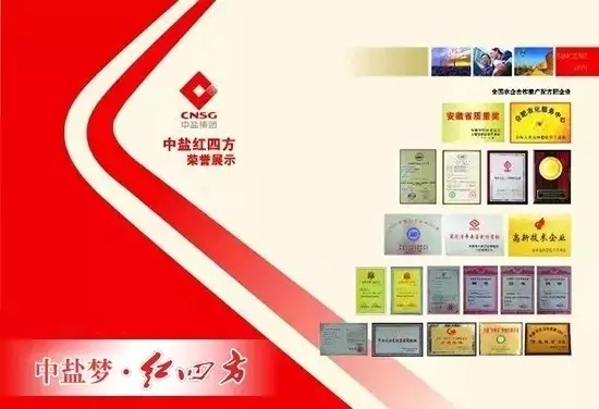 中鹽紅四方技術創新優勢突顯