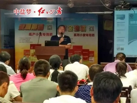 我將在茶區(qū)和果區(qū)大力推廣紅四方肥料，我要在名山做大做強紅四方。