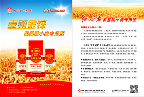 紅四方麥霸金鋅小麥專(zhuān)用肥單彩頁(yè)
