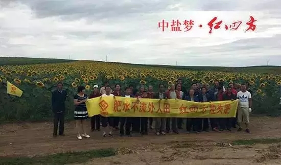 從一片空白到花開(kāi)世界…….
