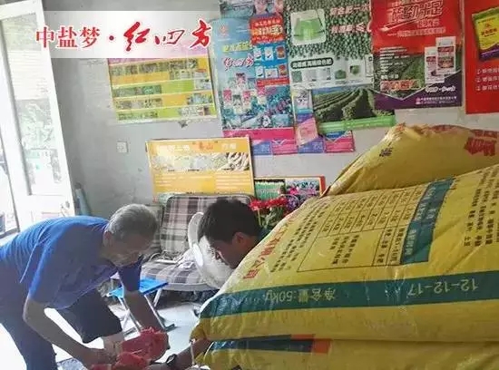 下鄉(xiāng)做宣傳，老伯為我們端來西瓜解暑。