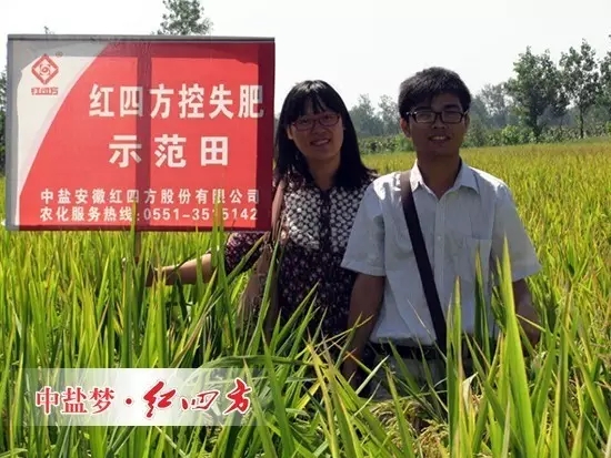 那一年，我們剛到紅四方復(fù)合肥銷售大家庭