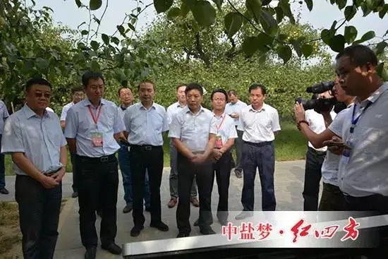 他們走進“數字果園”梨樹王示范點，走進中鹽紅四方肥料試驗示范園。