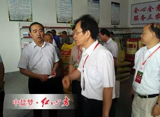他們的梨樹全部選用了高效綠色的紅四方硫酸鉀（17-17-17）復合肥，結出的梨子個頭更大，汁更多，味更甜，還能提前上市。