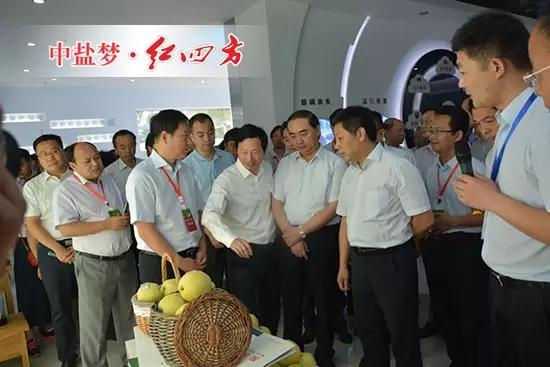 通過選用高效肥料，豐富果樹營養，提高樹皮含水量，增強果樹抗病性，以提高坐果率、果實重量和糖分含量