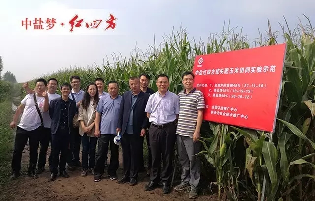 9月6日吉林省扶余玉米控失肥試驗(yàn)示范現(xiàn)場觀摩會