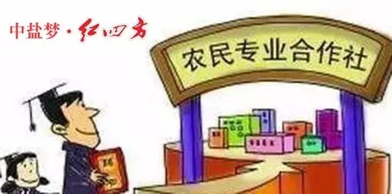2016年，國(guó)家推出多個(gè)政策支持新型農(nóng)業(yè)經(jīng)營(yíng)主體發(fā)展，推動(dòng)農(nóng)村一二三產(chǎn)業(yè)融合發(fā)展。那么，2017年，國(guó)家對(duì)合作社又有哪些補(bǔ)貼政策呢？