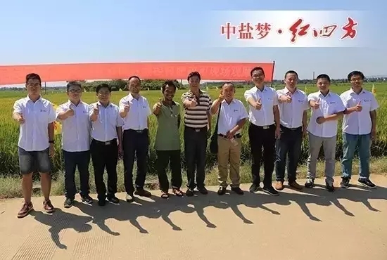 8月29-30日，全國(guó)農(nóng)技推廣中心、江西臨川區(qū)農(nóng)業(yè)局、中鹽紅四方和江西市場(chǎng)重點(diǎn)經(jīng)銷(xiāo)商、新型農(nóng)業(yè)經(jīng)營(yíng)者等100余人，實(shí)地觀摩紅四方緩釋肥水稻應(yīng)用試驗(yàn)示范，正式拉開(kāi)中鹽紅四方年2016年度新型肥料試驗(yàn)示范田檢驗(yàn)行動(dòng)。