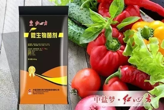 9月2日，中鹽紅四方微生物菌劑正式大量投放市場(chǎng)，在魚(yú)龍混雜的新型肥料市場(chǎng)激起千層浪。