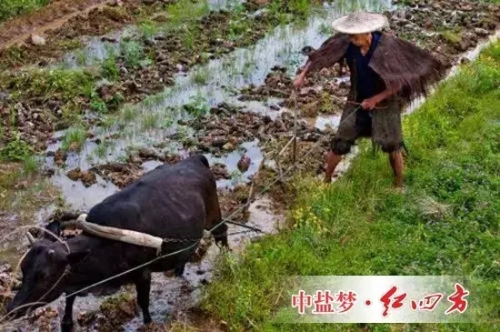 一些長期研究該問題的農學家認為，過去數千年的現實告訴我們，這一思路可能是錯誤的，那些純天然耕作的土地并沒有表現出“肥力十足”。相反，這種做法加速了土壤肥力的減退。