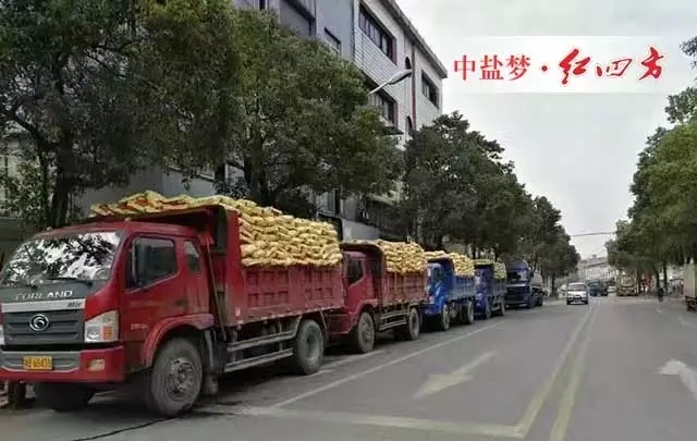 在受糧價下跌、渠道下沉、化肥零增長、化肥優(yōu)惠政策取消等因素影響，農資行業(yè)的競爭日趨激烈狀況下，中鹽紅四方復合肥銷售如何勢如破竹，獨領行業(yè)風騷？不忘初心，方得始終